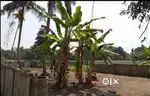 N.PARAVUR peruvaram ROAD 5 CENT 6 CENT PLOT FOR SALE