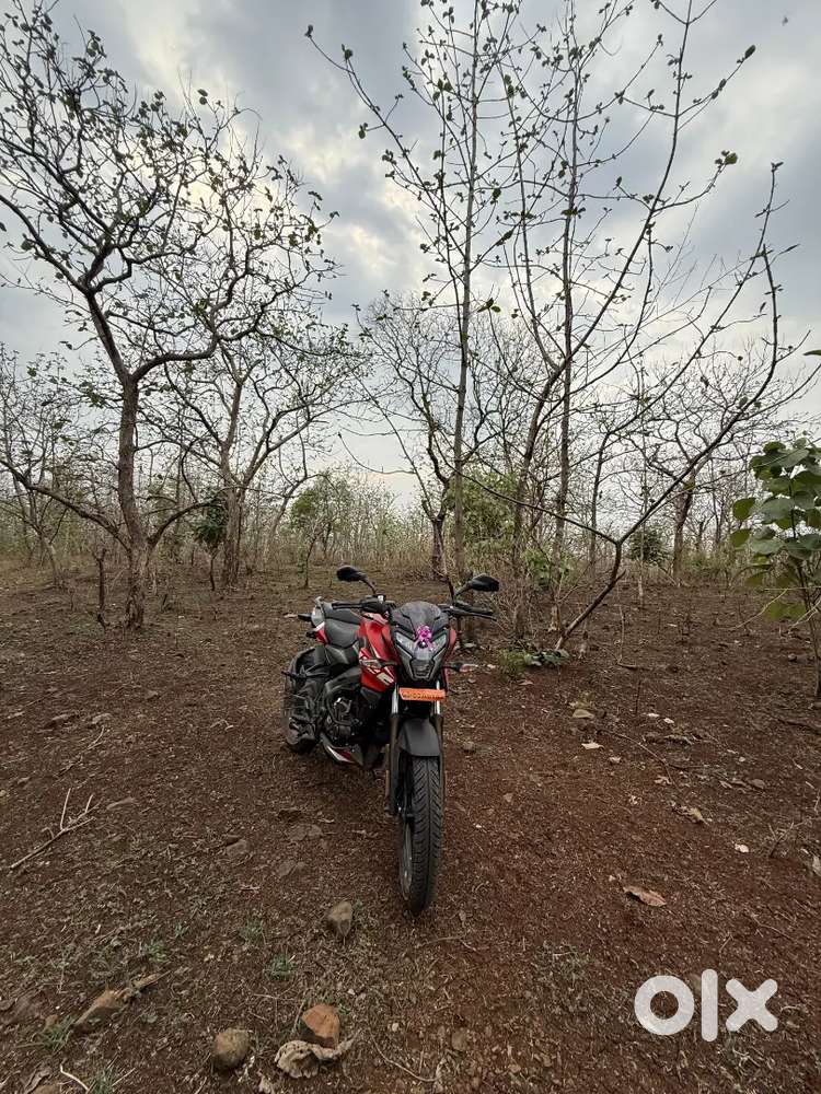 Bajaj Pulsar ns125 Brand new condition