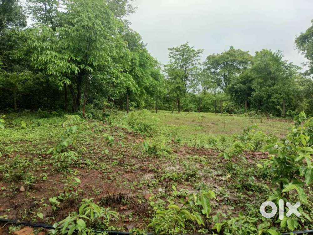 NA Plot Sale in Khopoli Pali Road neat to Adlabs Imagica