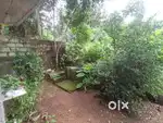 Arjent sale