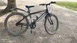 CURRENT Mango cycle