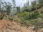 1200sqft genral road side land for sale below kamrang college Namchi