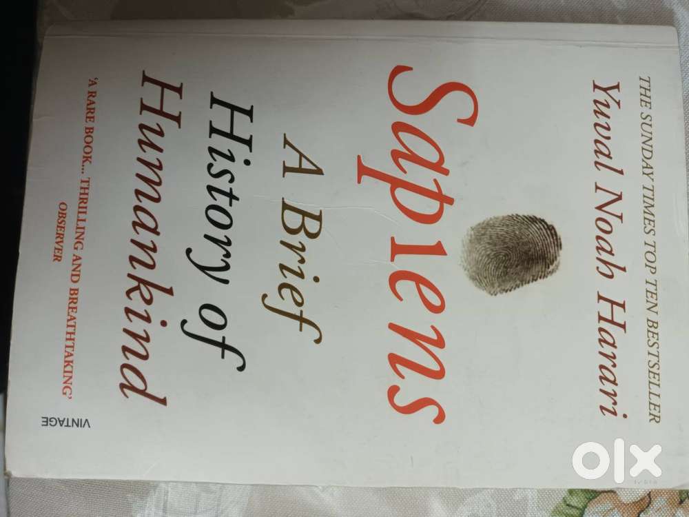 The 600Sapiens