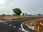 Plots At just ₹350  investment plots  registration free  DTCP