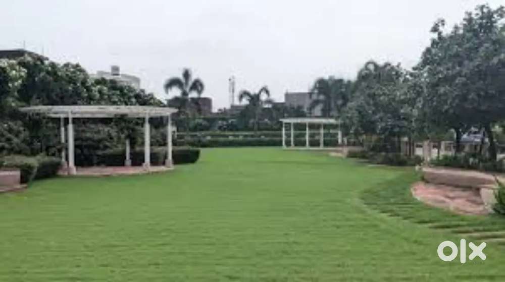 1.5 km from TCS 1000 sqft East and Garden Facing plot @ 50 lac sale