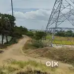 வீட்டு மனை /வெள்ளமடம் டோல்கேட் அருகில்