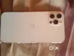 12 pro 256 gb