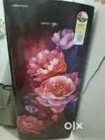 New fridge 2 month old