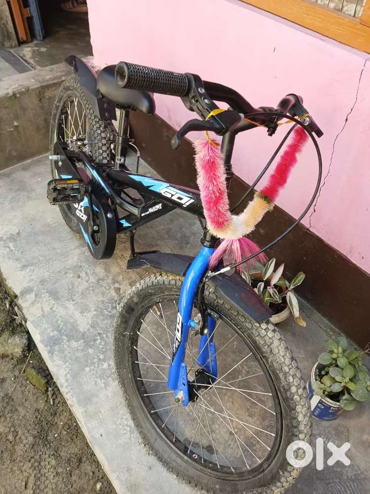 BSA GO Cycle