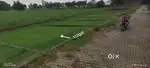 112gaj pilot Sherwa Chauraha moradabad road agwanpur