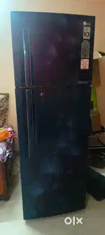 LG Double door Fridge
