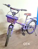 BSA Flora Purple color cycle