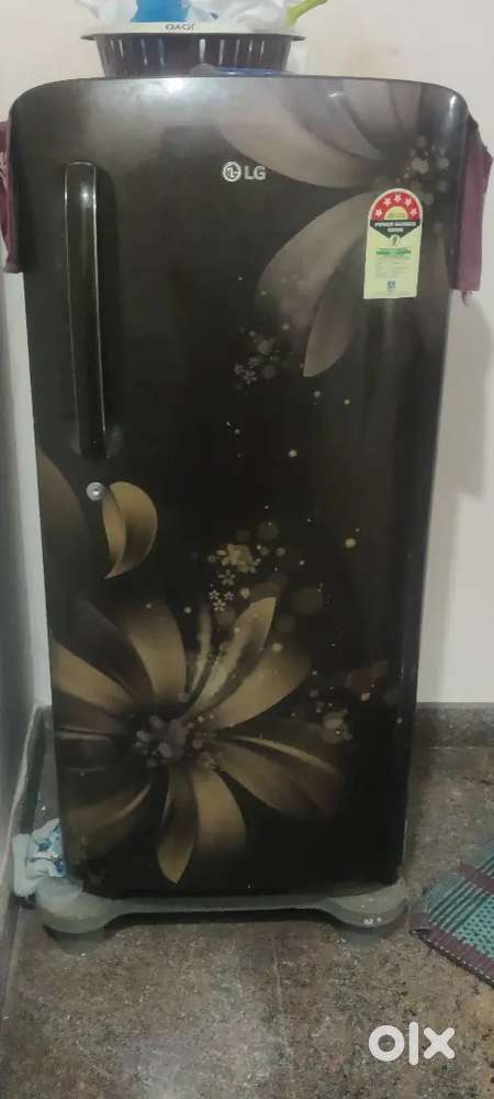 Lg single door fridge we'll mentioned