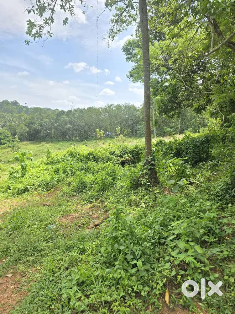 3ACRE LAND FOR SALE KAZHAKKOOTTAM KATTAYIKONAM