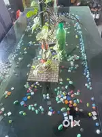 Six seater dinning table