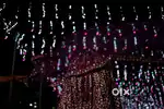 Bridal lehenga