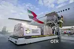FL OPERATOR & MULTITASKING STAFF