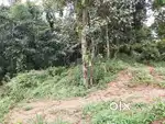 9 cent commercial/residential plot for sale at Kakkanad near Info Park