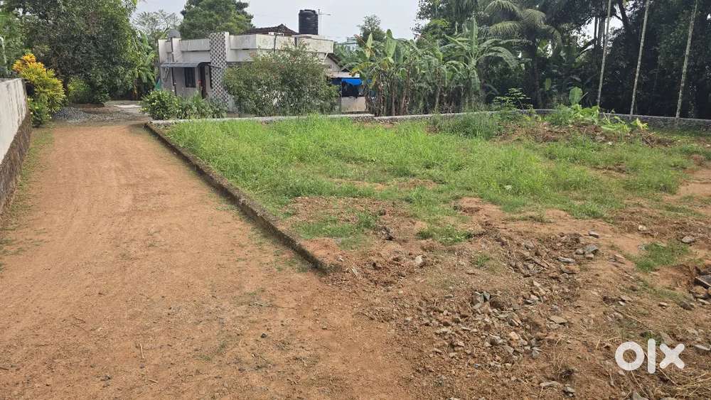Nedumbassery near athani 14 cent house plot for sale immediately