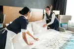 New opening in my company House keeping