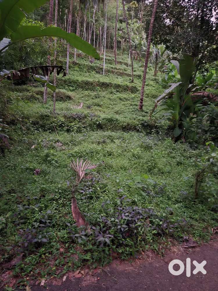1 Acre Agricultural land for Sale