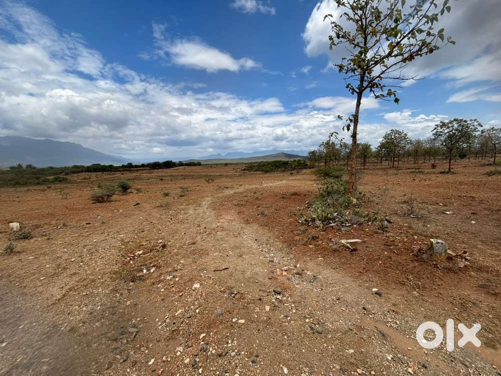 Dtcp approved plot at valuable price