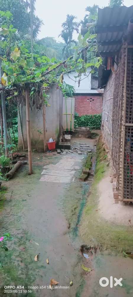 1 kotha mati , esoniya mati ,pani pua khohoj , gari ahibo paree ,