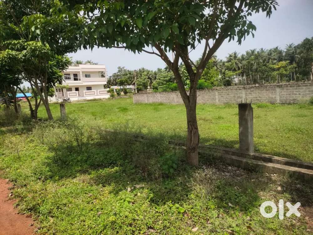 8 సెంటల స్థలం అమ్మకం కి కలదు, ఎర్ర వంతెన వద్ద