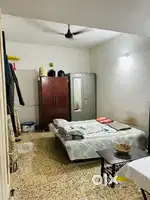Bachelors allow