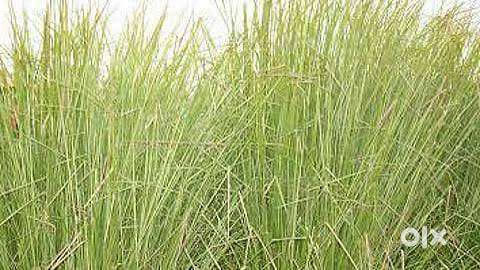 வீட்டு மனை விற்பனைக்கு