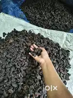 കുടംപുളി for sale