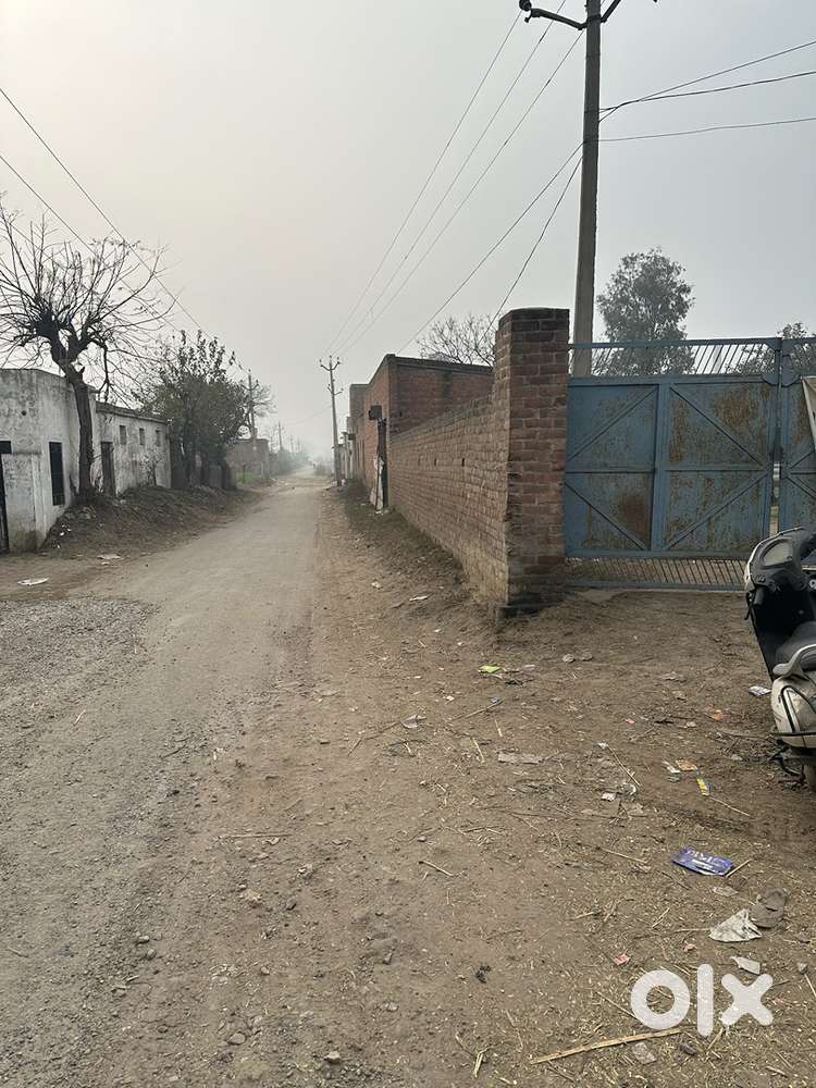 Dairy farm for sale or lease/ rent