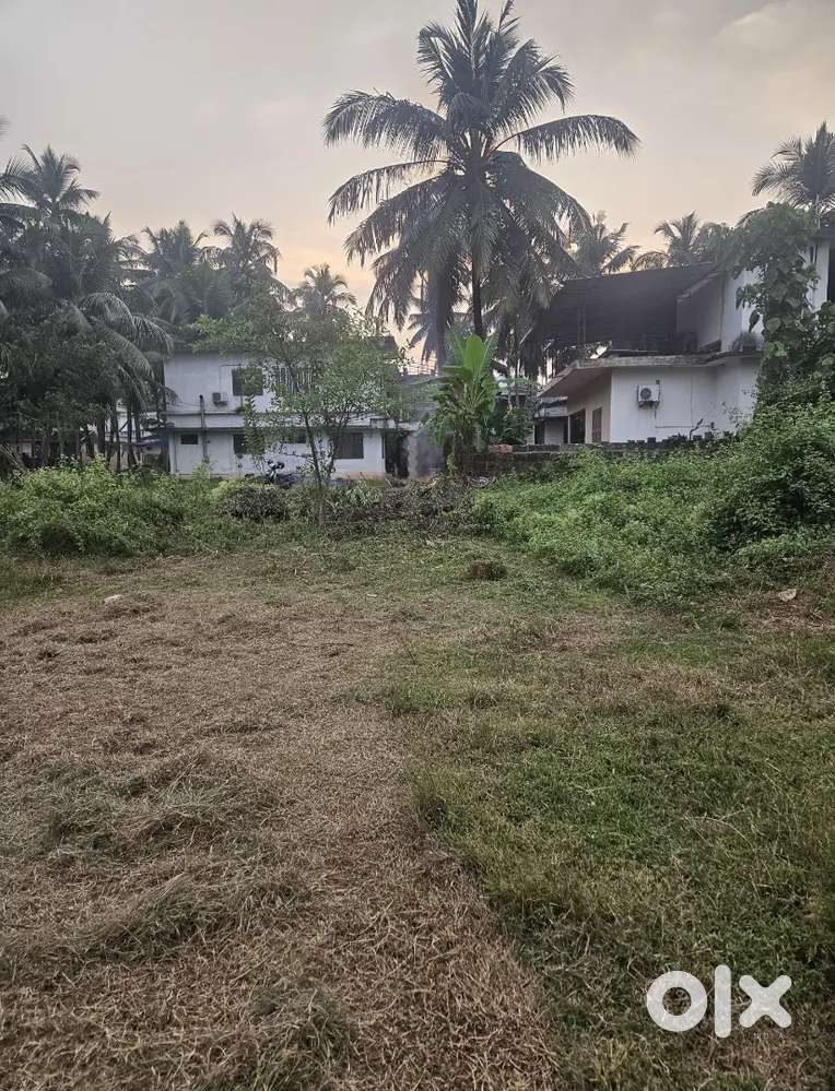 6 cent houning plot pallikara payagadi