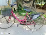 Laydybird cycle sell