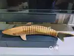 Wooden fish