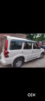 Fresh condition