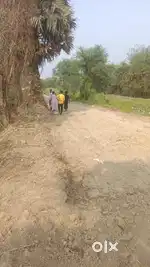 5Katha, 10katha & 20katha plots available for sale near AmtalaGabberia