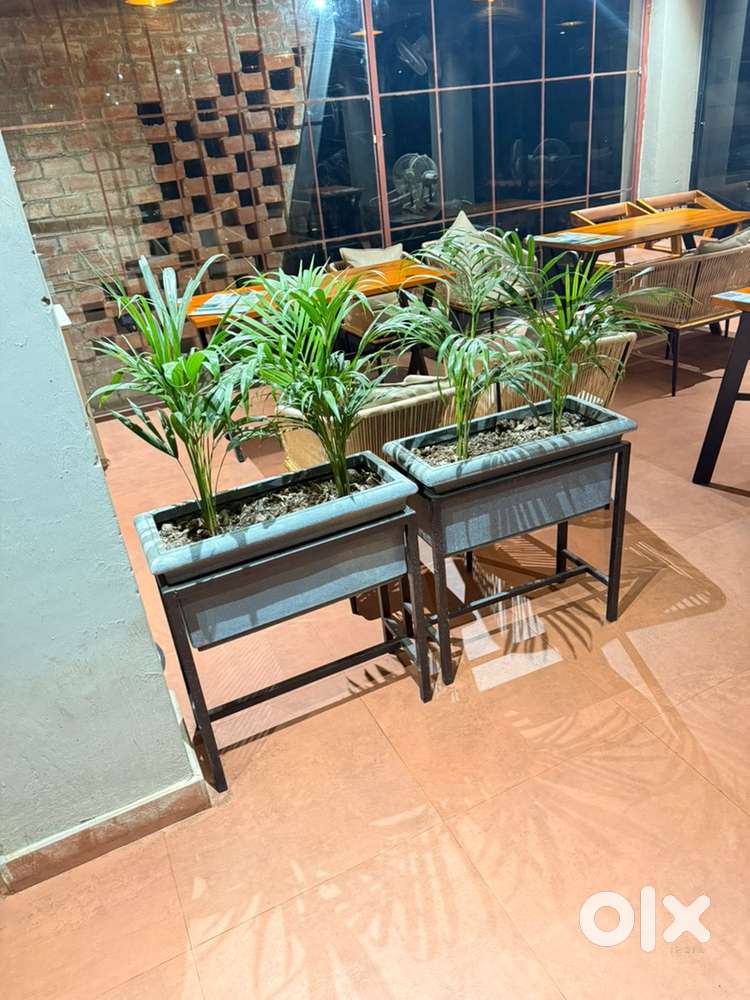 Plot for Sale in Badwai (Near Truba College, Bhopal)