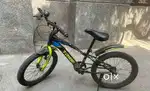 Cycle upto 10 years