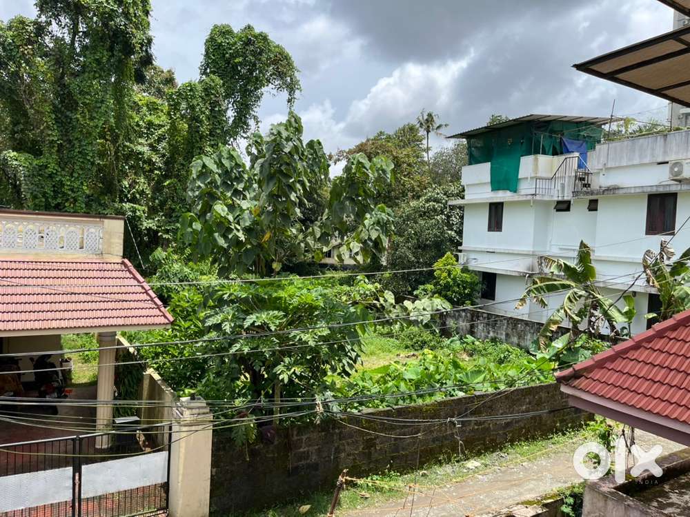 Cc. 5.5cent House plot KAKKANAD Vazhakkala.