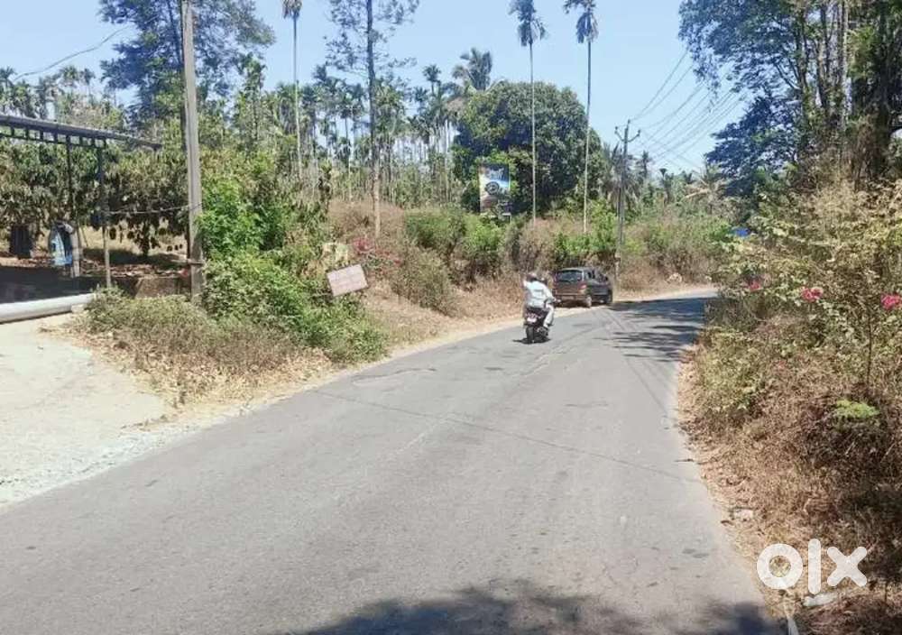 ഹൈവേ സൈഡിൽ 3 ഏക്കർ സ്ഥലം, സെൻ്റിന് 42,000 രൂപയ്ക്ക്