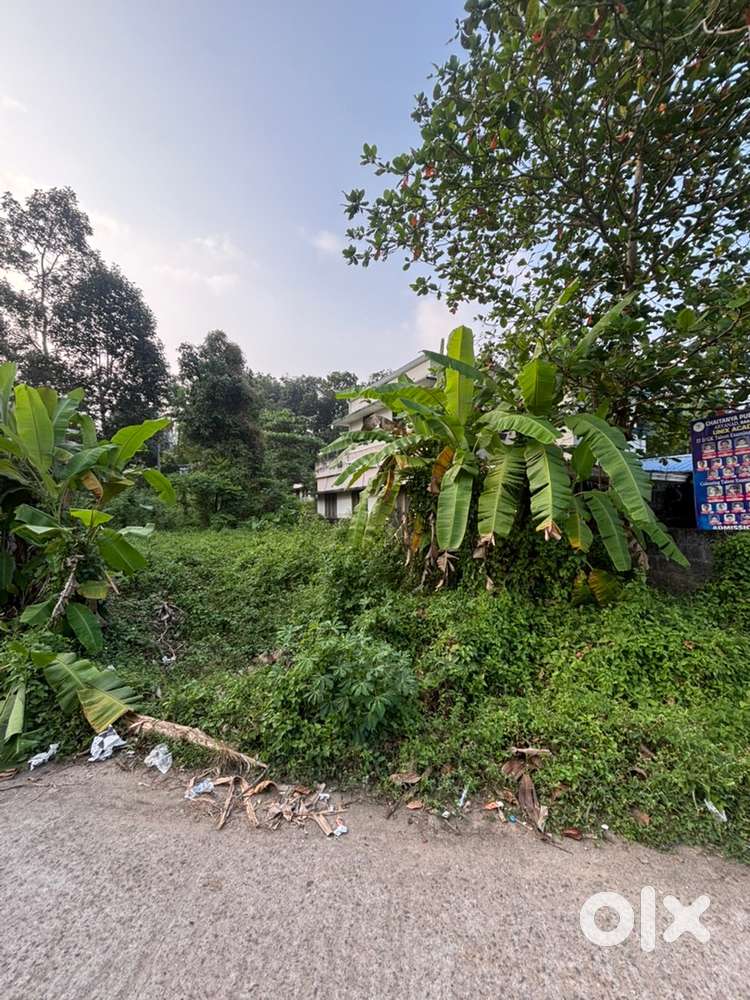 ‼️House plot,Near Bus Depot, Aryanad 200 mtr ‼️