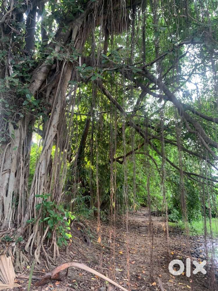 Wanted buyer for 36 grounds of Land in Kundrathur