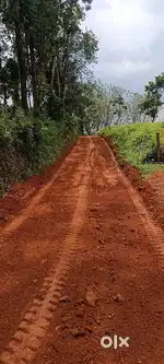Rent bobcat