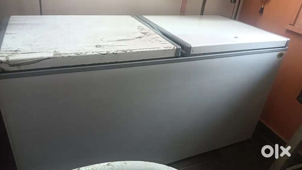 Western double door freezer