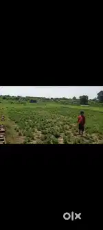 Brahmpur, Near Kushinagar High way , Gorakhpur