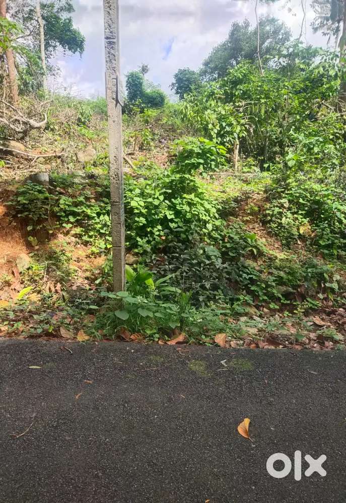 മീനടം 10 cent house plot.1.10 .lakh.