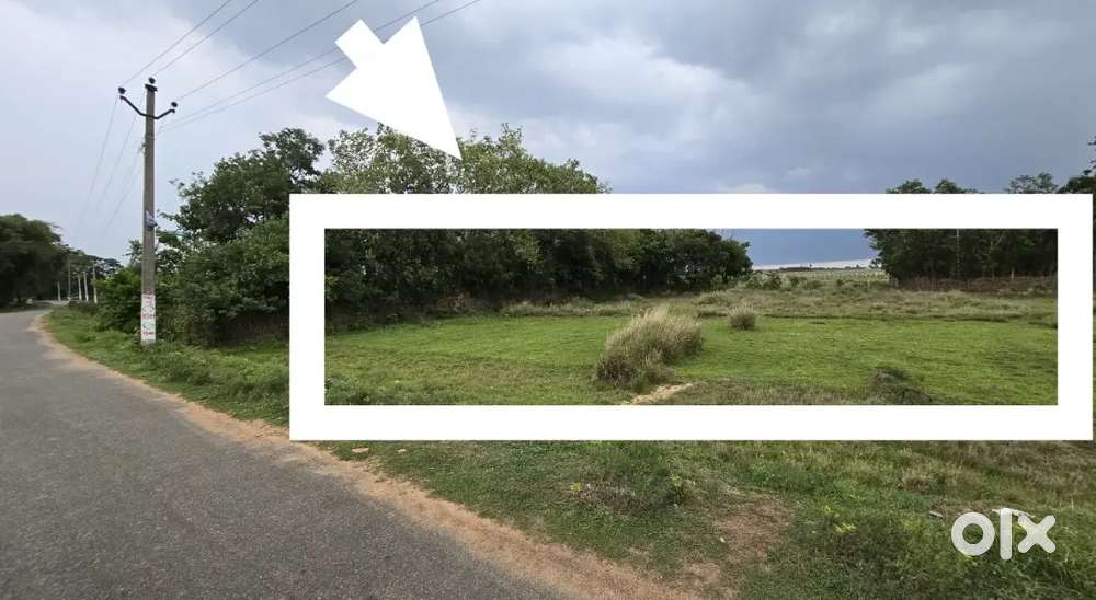Land for sale