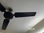 Ceiling Fan