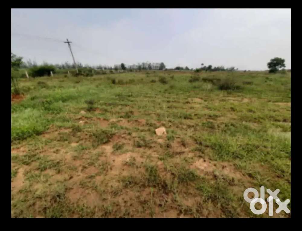 42 dicimile land for sale near pipili toll gate